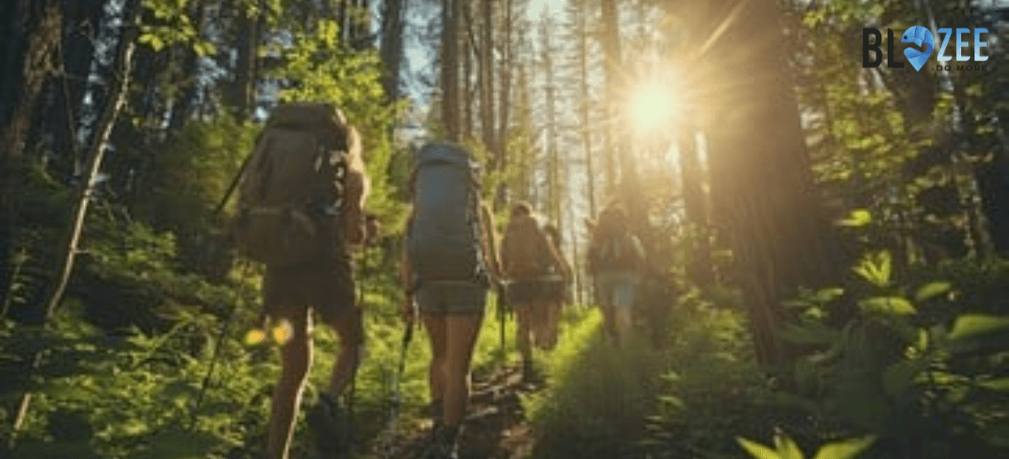 Top 7 Scenic Forest Treks in India for Nature Lovers