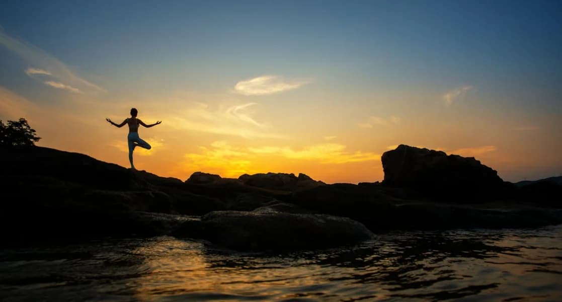 Best Yoga Poses for Back Pain, Gut Health and Stress Relief A Beginners Complete Guide (2026)