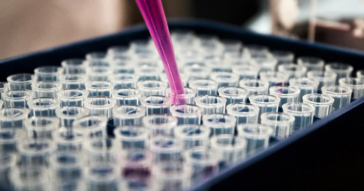 The Science of Longevity and Cellular Rejuvenation: Evidence-Based Protocols for 2026