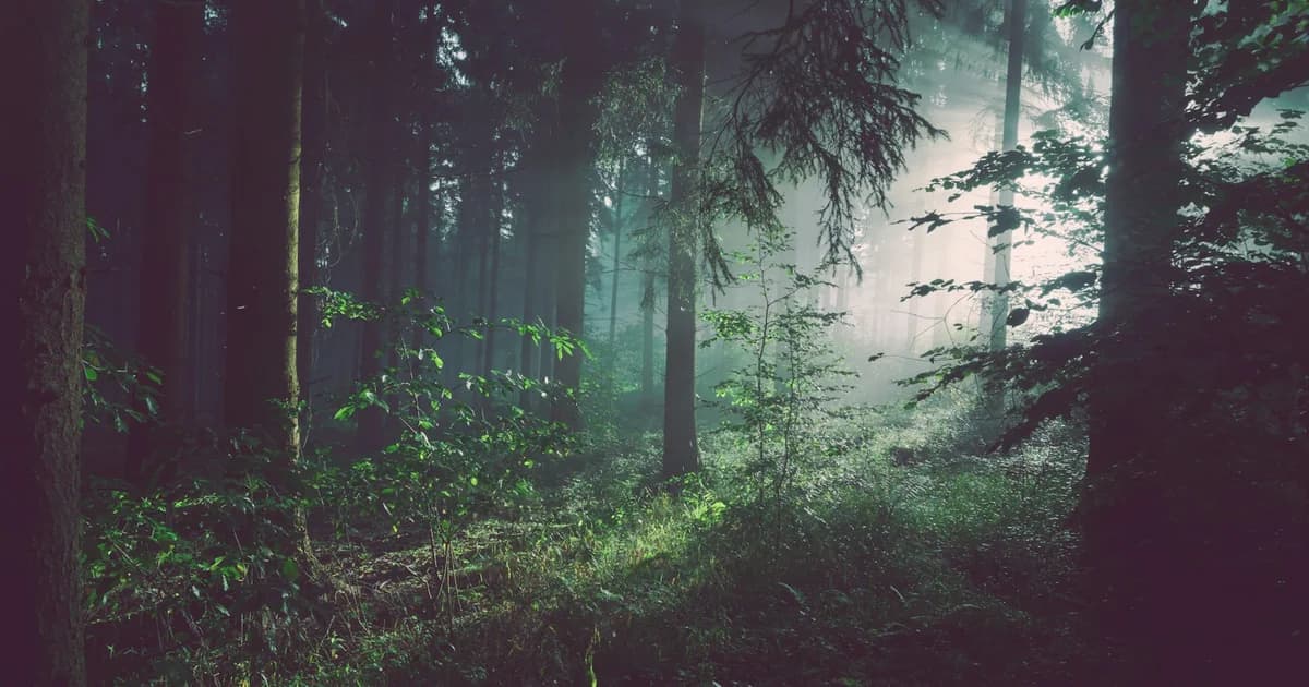 Reforestation Technology: Drone Seeding, AI Monitoring, and Global Ecosystem Recovery in 2026