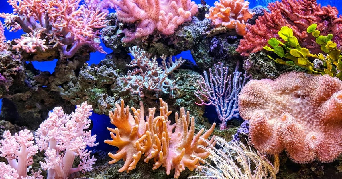 Ocean Coral Reef Restoration: Micro-Fragmentation and Heat-Resilient Super Corals in 2026