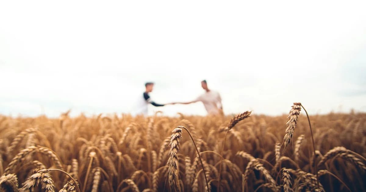 Regenerative Agriculture Practices: Soil Carbon Sequestration and Food Security in 2026